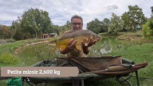 Mirror Carp
