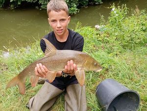 Barbel
