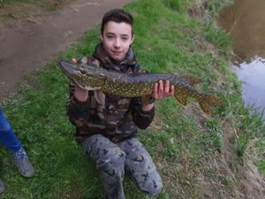 Northern Pike