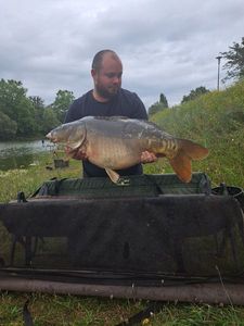 Mirror Carp