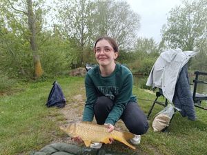 Common Carp