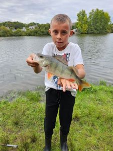 European Perch