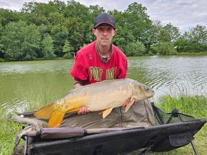 Mirror Carp