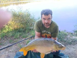 Mirror Carp