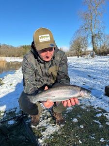 Rainbow Trout