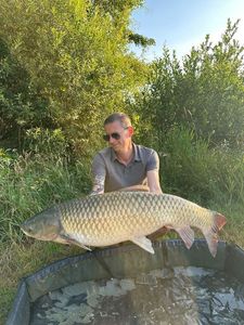 Grass Carp