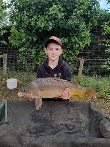 Mirror Carp