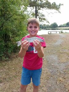 Zander