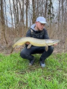 Northern Pike