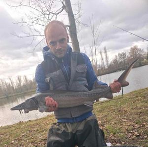 Sturgeon