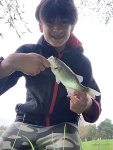 Smallmouth Bass