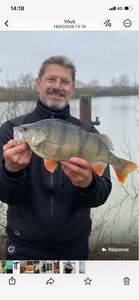 European Perch