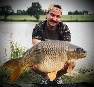 Common Carp