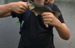 Smallmouth Bass