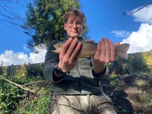 Rainbow Trout