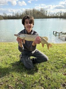 Northern Pike