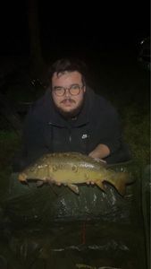 Mirror Carp