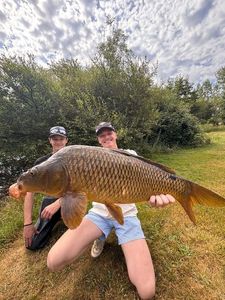 Common Carp