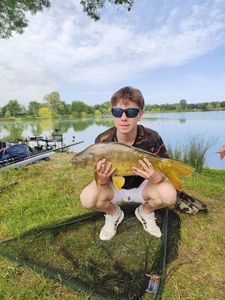 Common Carp