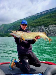 Northern Pike