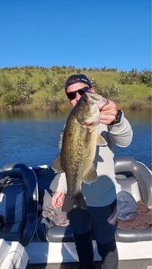 Smallmouth Bass