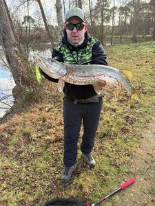 Northern Pike