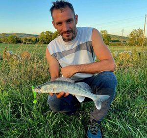 Zander