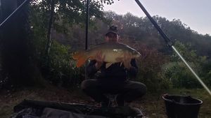 Mirror Carp