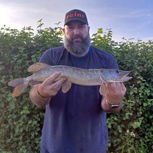 Northern Pike