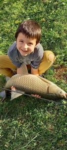 Grass Carp