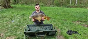 Mirror Carp