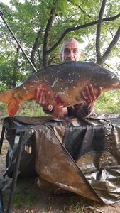 Mirror Carp