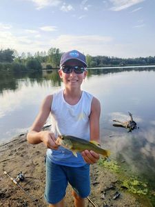 Largemouth Bass