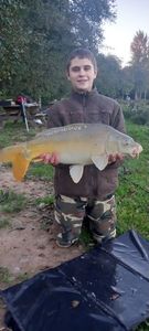Mirror Carp