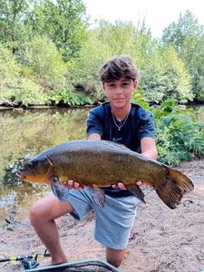 Tench