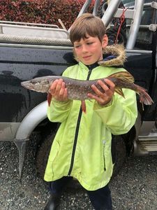 Northern Pike
