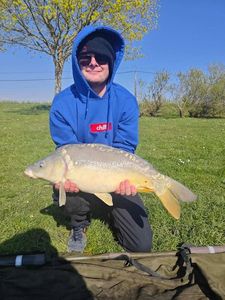 Mirror Carp