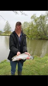 Lake Trout