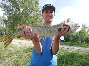 Northern Pike