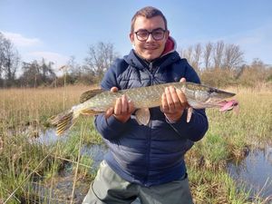 Northern Pike
