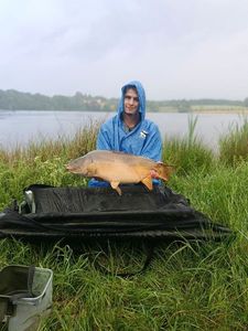 Mirror Carp