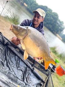 Mirror Carp