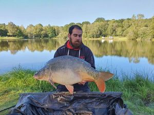 Mirror Carp