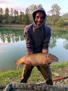 Common Carp