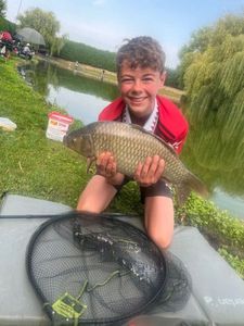 Common Carp