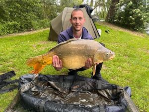 Mirror Carp