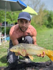Mirror Carp