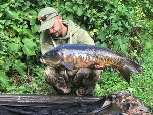 Mirror Carp