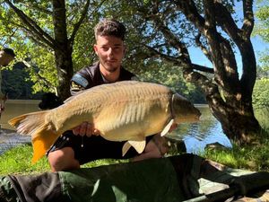 Mirror Carp