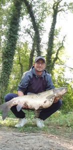 Grass Carp